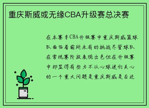 重庆斯威或无缘CBA升级赛总决赛